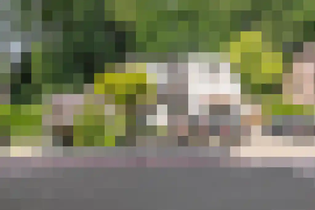 Klinkenbergerweg 84 D Ede thumbnail 44