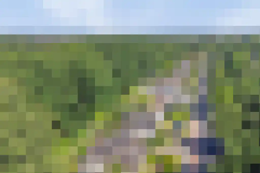 Klinkenbergerweg 84 D Ede thumbnail 45
