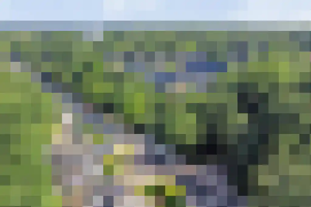 Klinkenbergerweg 84 D Ede thumbnail 46