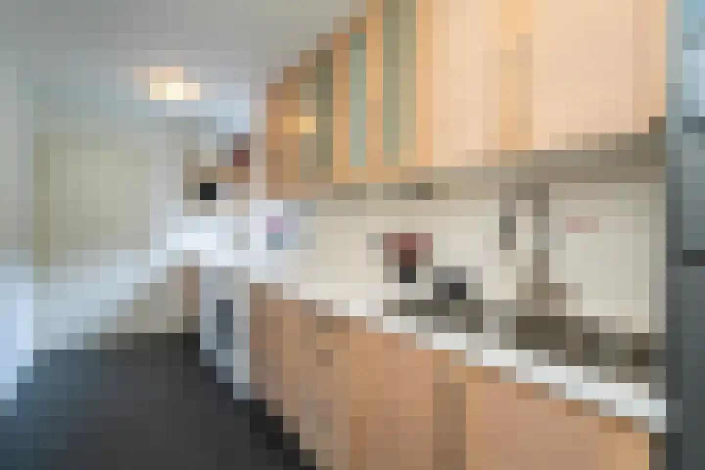 Klinkenbergstraat 2 Tilburg thumbnail 23