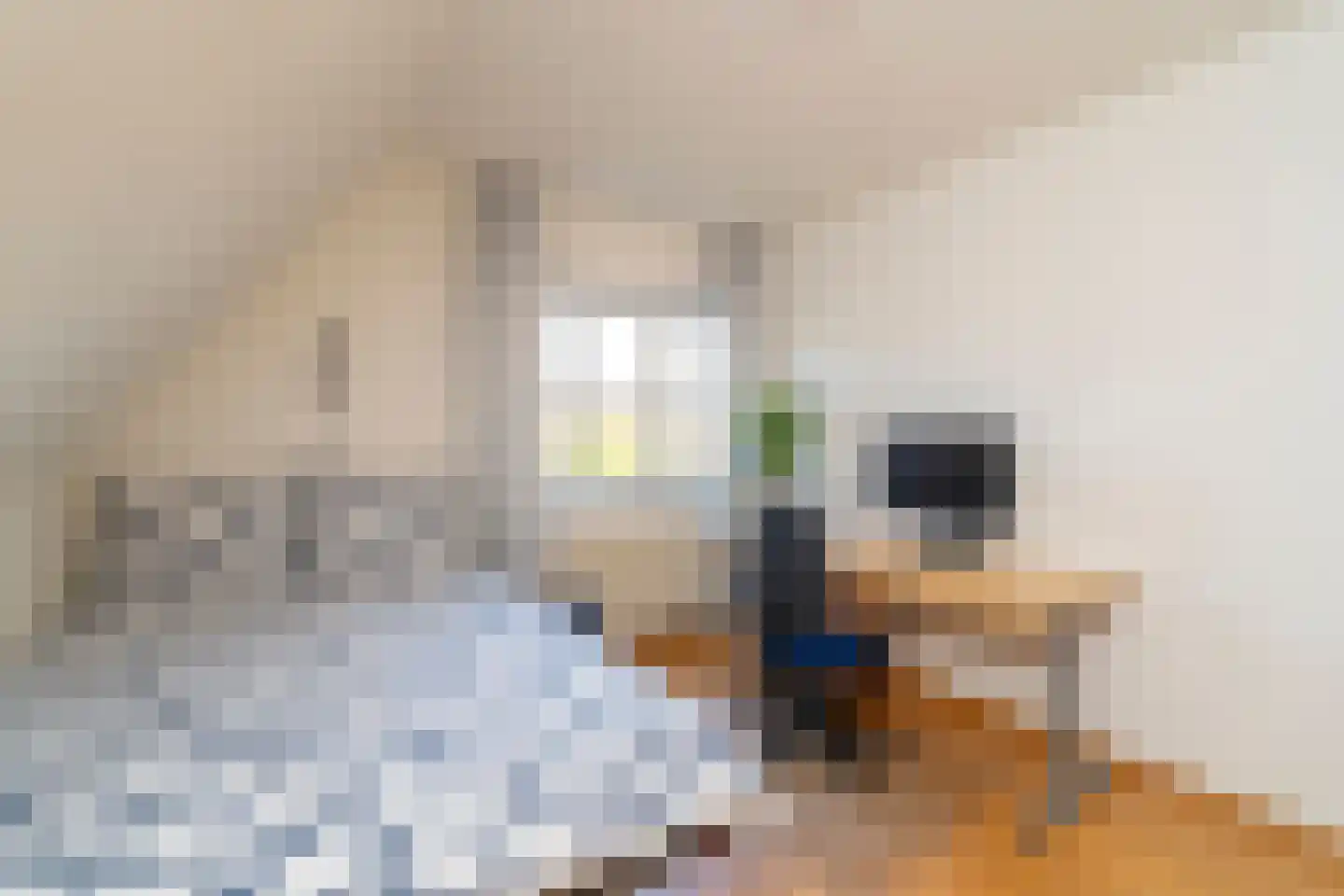 Klinkenbergstraat 2 Tilburg thumbnail 52
