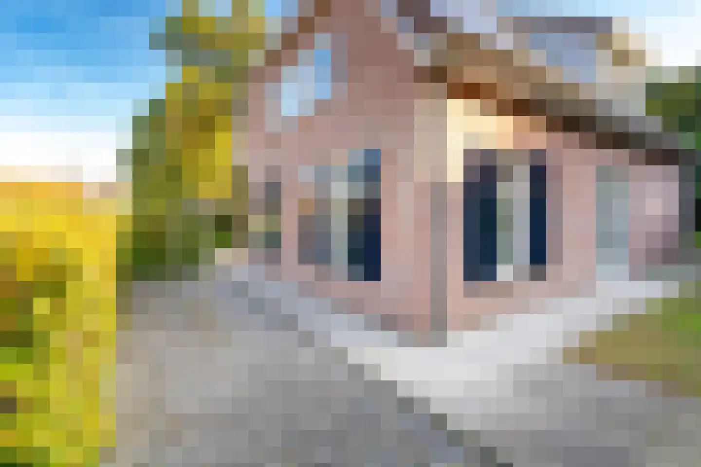 Klinkenbergstraat 2 Tilburg thumbnail 76