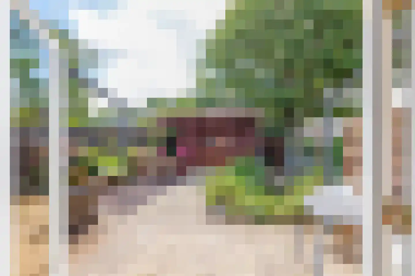 Klinkenbergstraat 33 Zwaanshoek thumbnail 14
