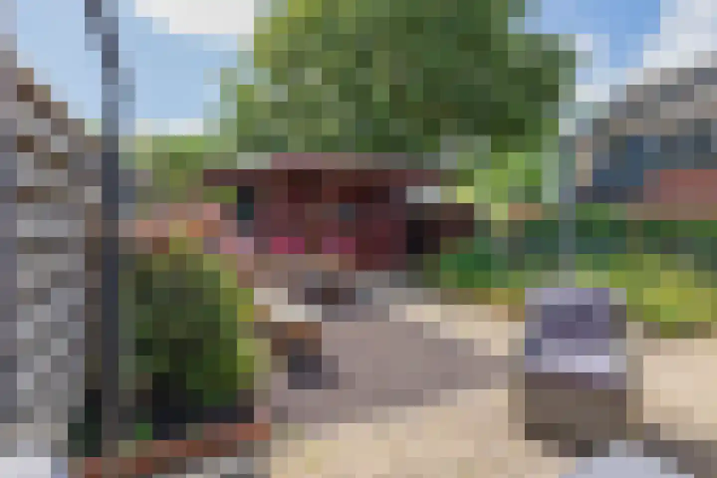 Klinkenbergstraat 33 Zwaanshoek thumbnail 17