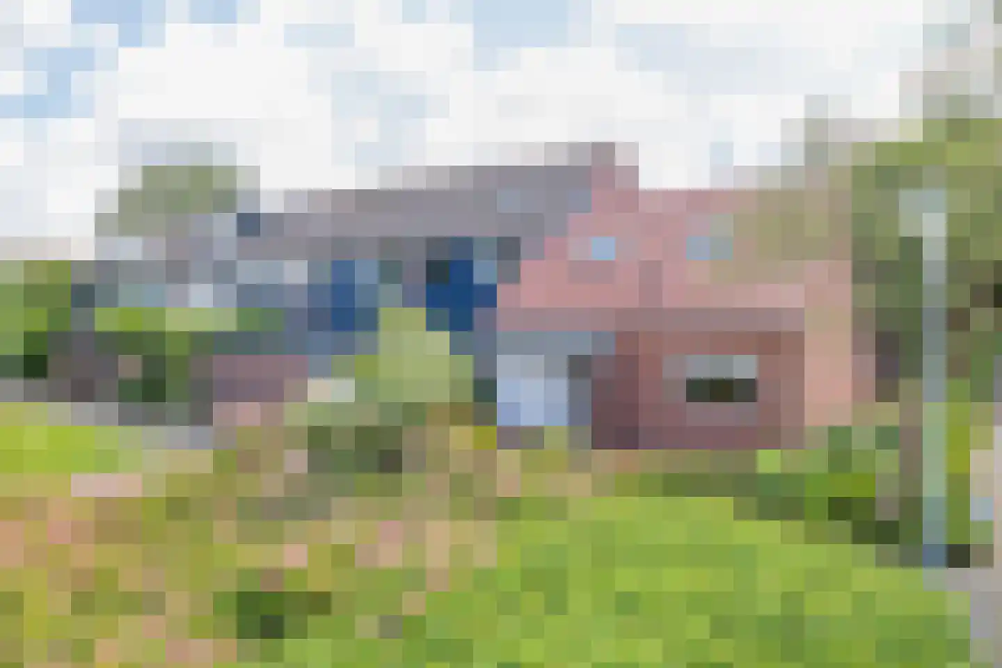 Klinkenbergstraat 33 Zwaanshoek thumbnail 37