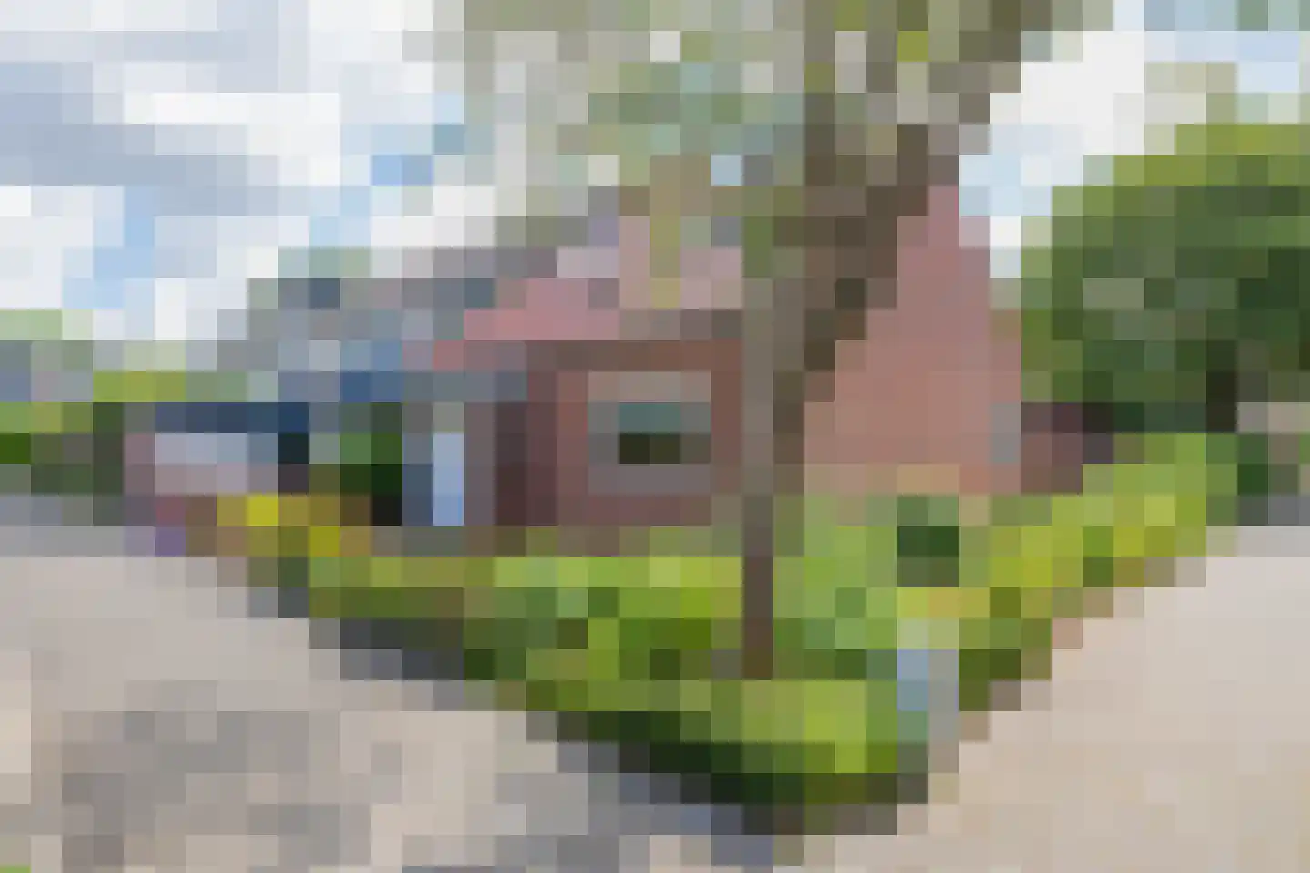 Klinkenbergstraat 33 Zwaanshoek thumbnail 39