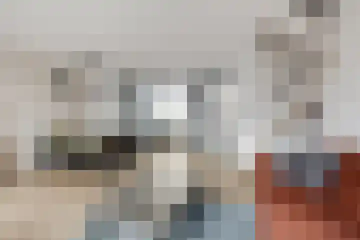 Klinkenbergstraat 59 Zwaanshoek thumbnail 4