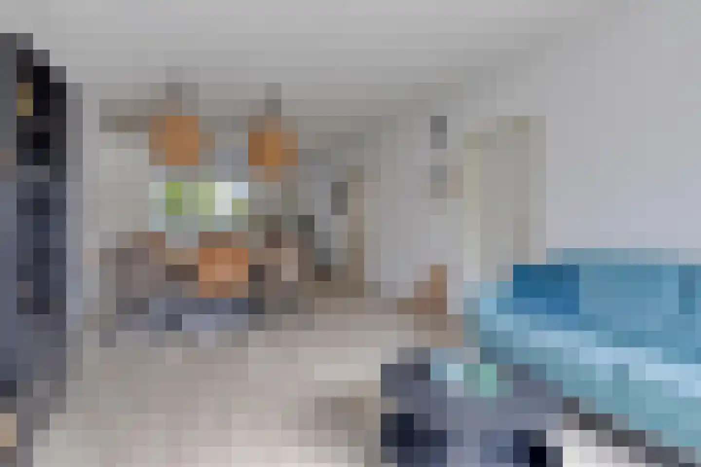 Klinkenbergstraat 97 Zwaanshoek thumbnail 15
