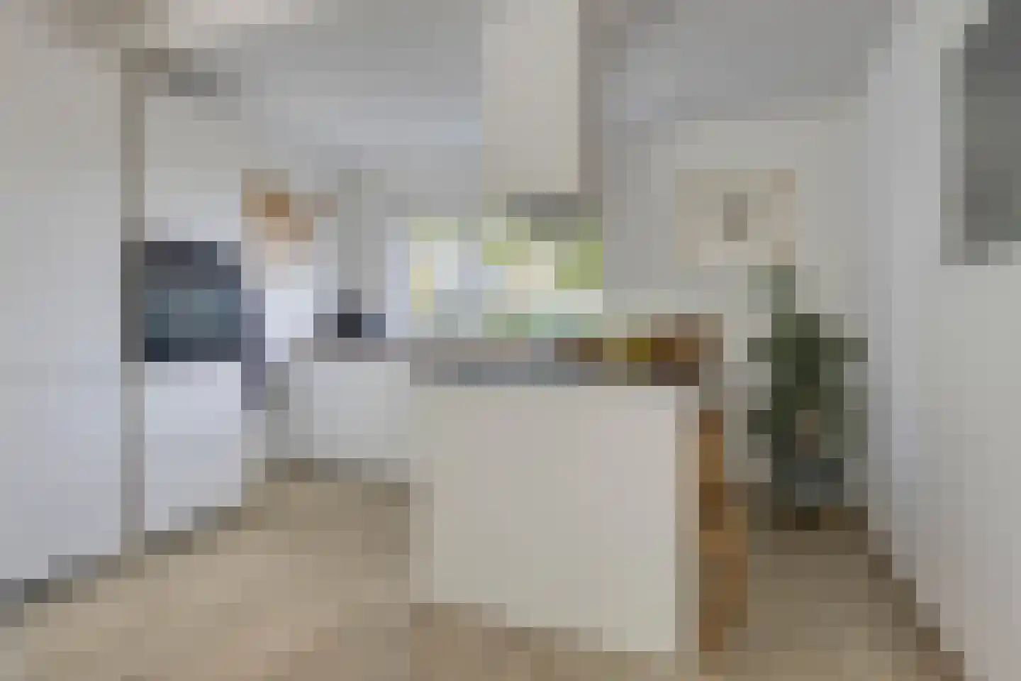 Klinkenbergstraat 97 Zwaanshoek thumbnail 20