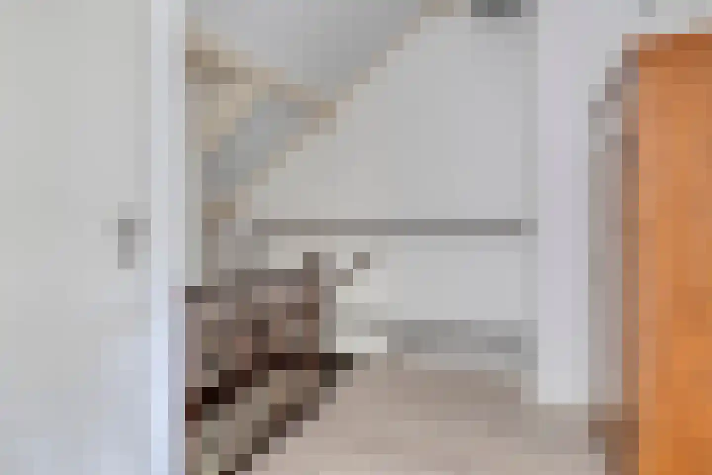 Klinkenbergstraat 97 Zwaanshoek thumbnail 28