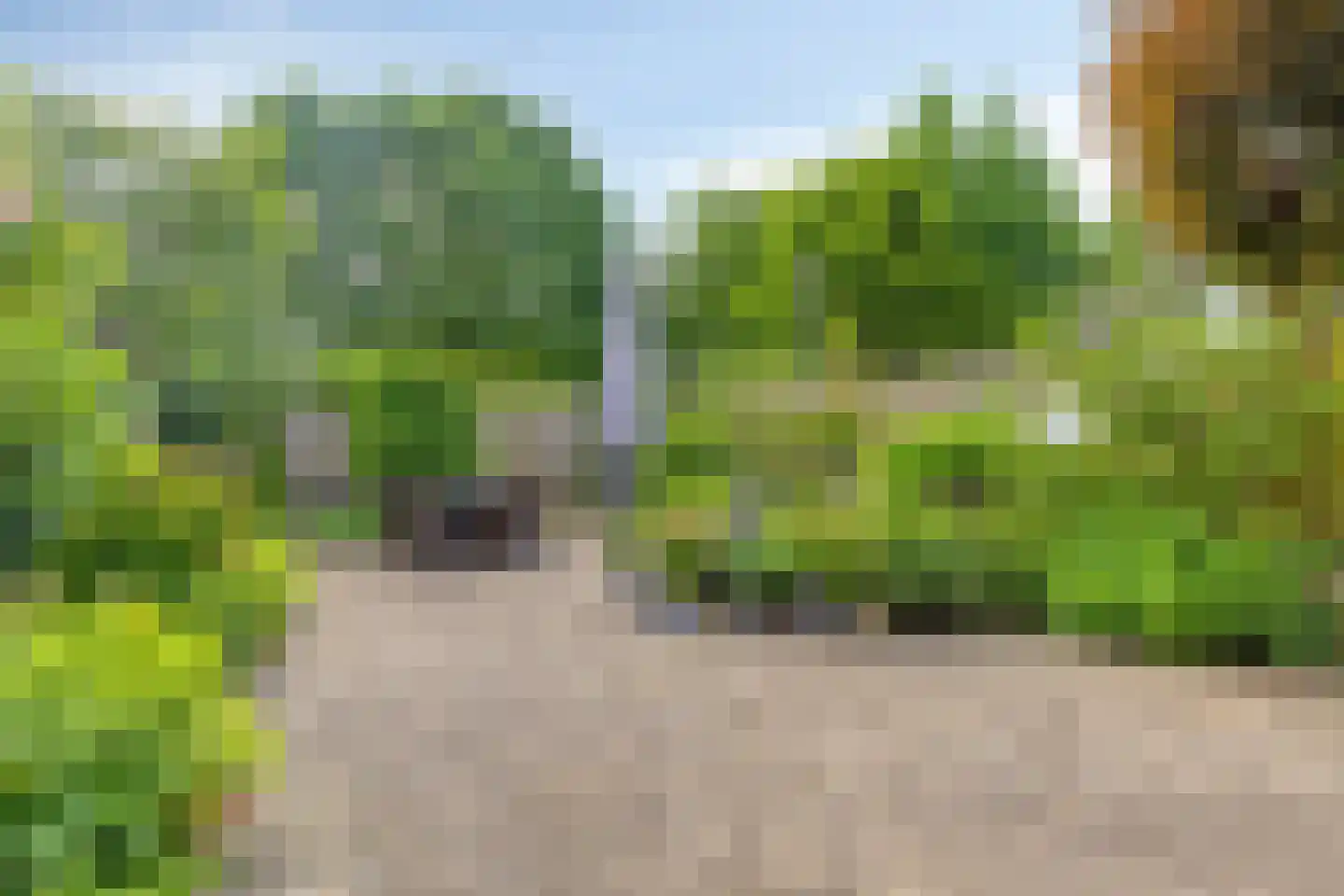 Klinkenbergstraat 97 Zwaanshoek thumbnail 39