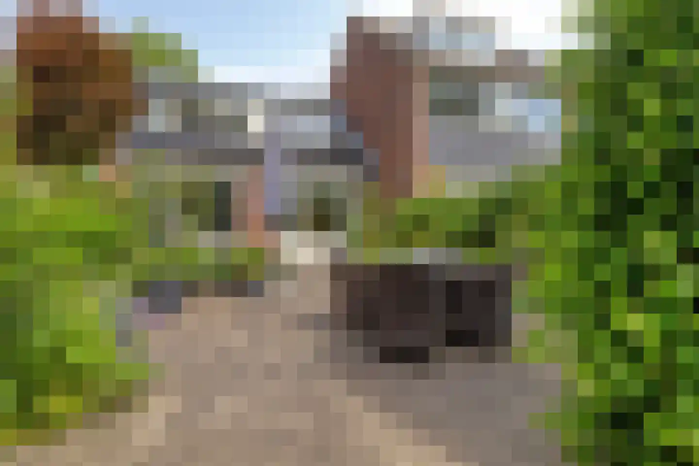 Klinkenbergstraat 97 Zwaanshoek thumbnail 41