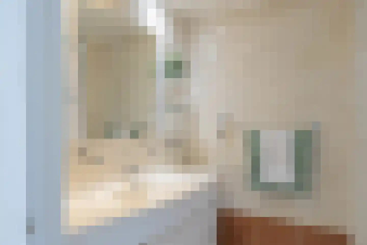 Klinkenbergstraat 99 Zwaanshoek thumbnail 23