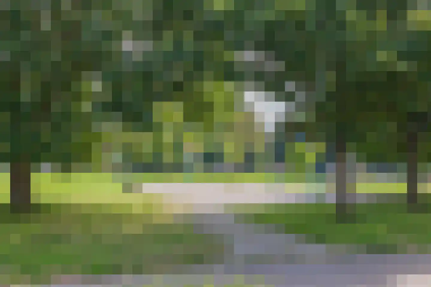 Klinkenbergstraat 99 Zwaanshoek thumbnail 32