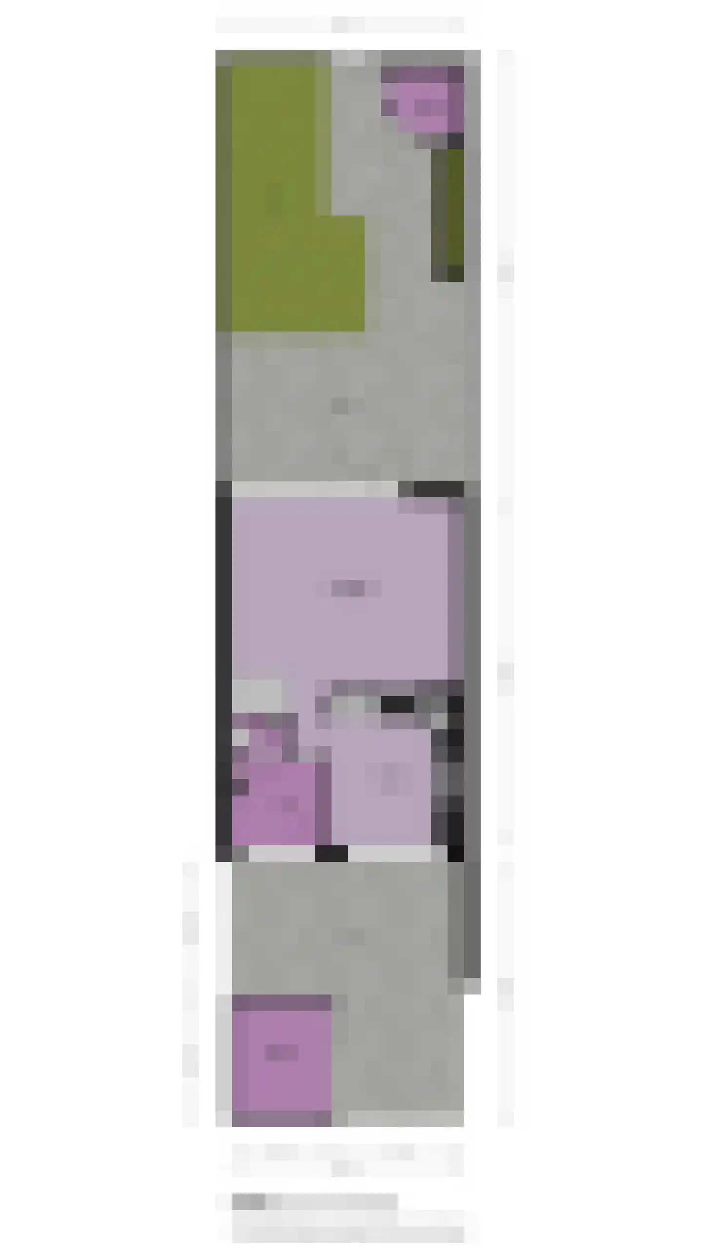 Klinkenbergstraat 99 Zwaanshoek thumbnail 39