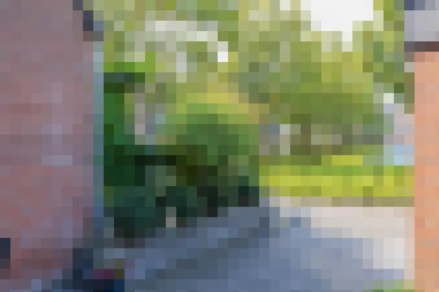 Klinkenbergstraat 99 Zwaanshoek thumbnail 4