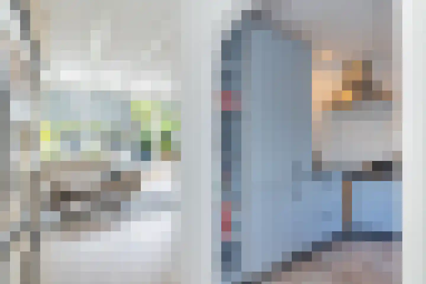Klinkenbergstraat 99 Zwaanshoek thumbnail 5