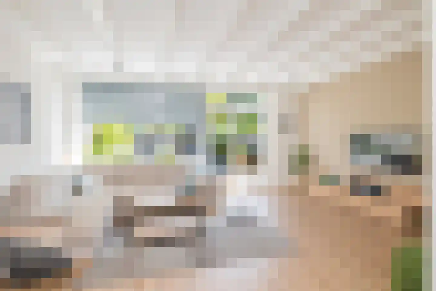 Klinkenbergstraat 99 Zwaanshoek thumbnail 9