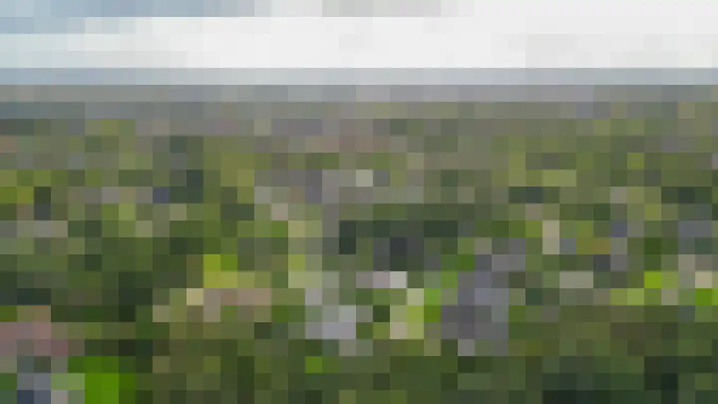 Klinkenborg 1 Stadskanaal thumbnail 51
