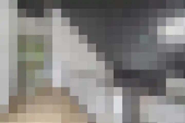 Klinkenborg 2 Stadskanaal thumbnail 40