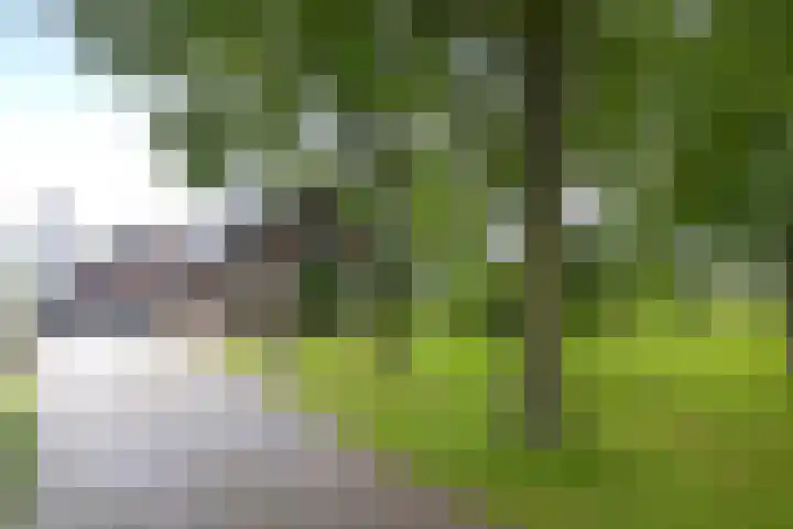 Klinkenborg 2 Stadskanaal thumbnail 6