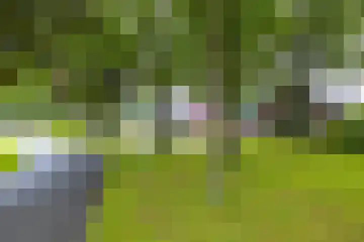 Klinkenborg 2 Stadskanaal thumbnail 7