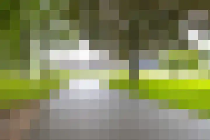 Klinkenborg 2 Stadskanaal thumbnail 8