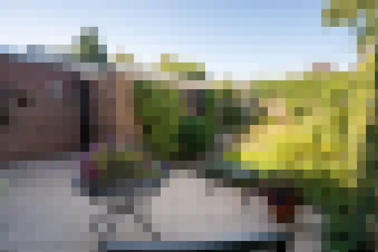 Klinkenburg 15 Epe thumbnail 25