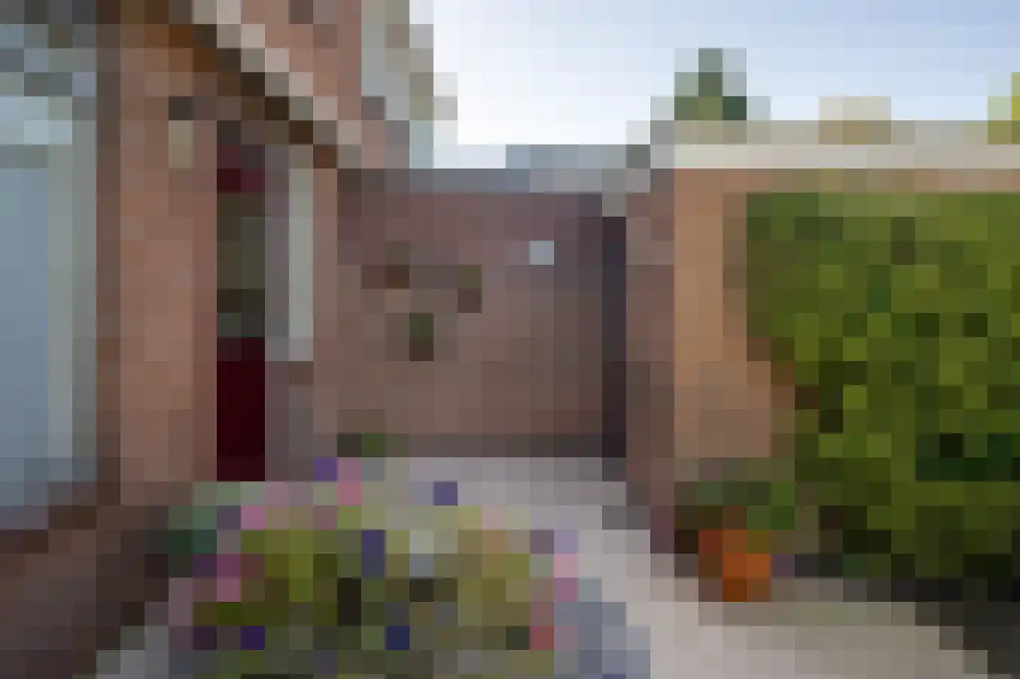 Klinkenburg 15 Epe thumbnail 26