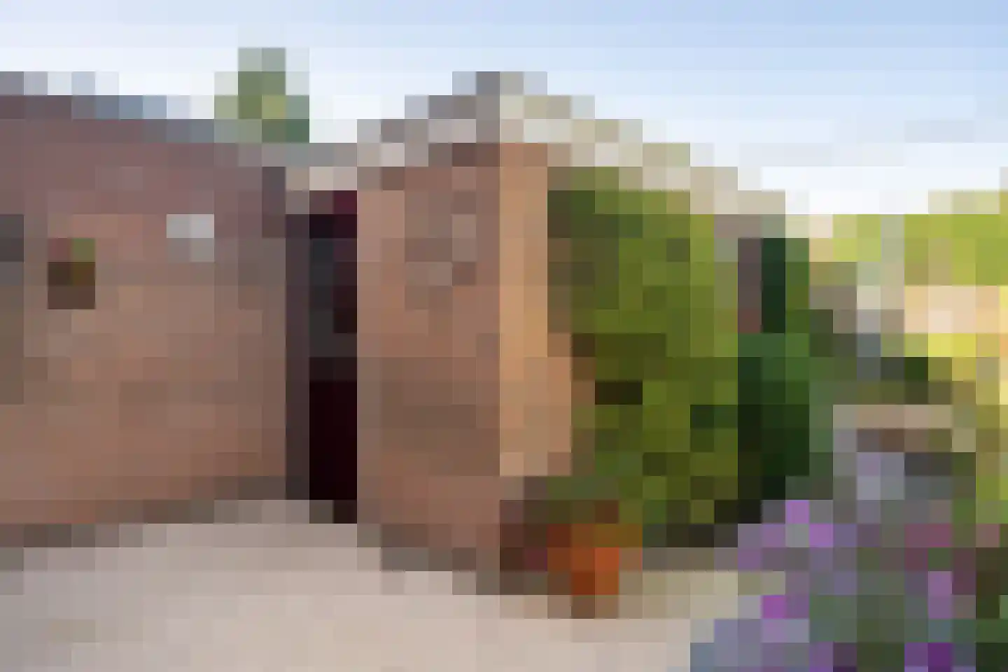 Klinkenburg 15 Epe thumbnail 27