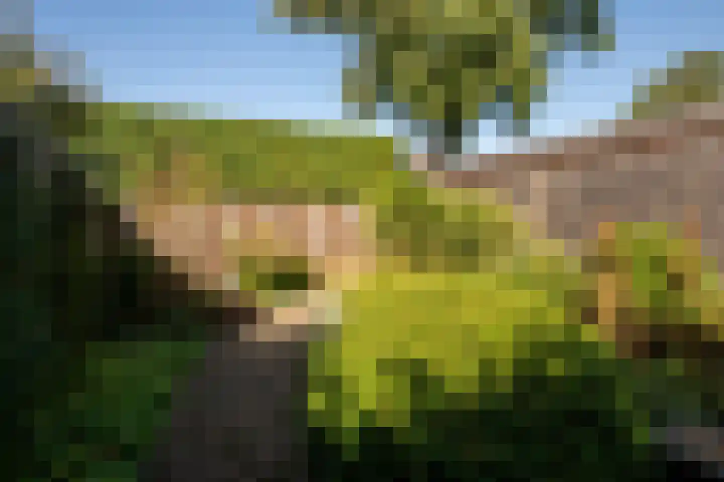 Klinkenburg 15 Epe thumbnail 30
