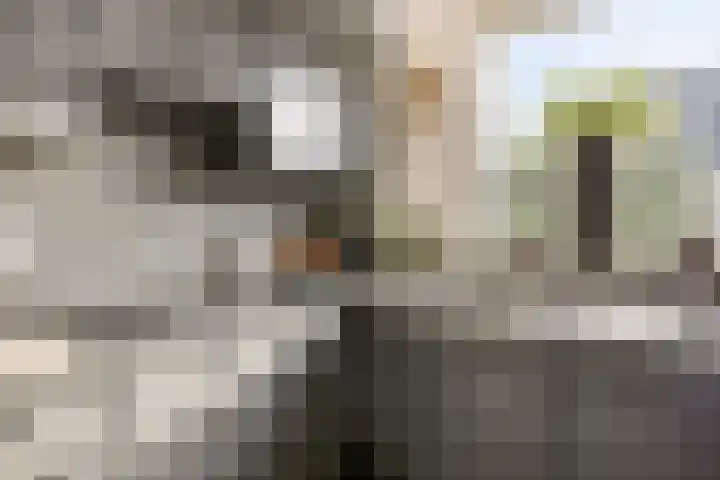 Klinker 59 Malden thumbnail 8