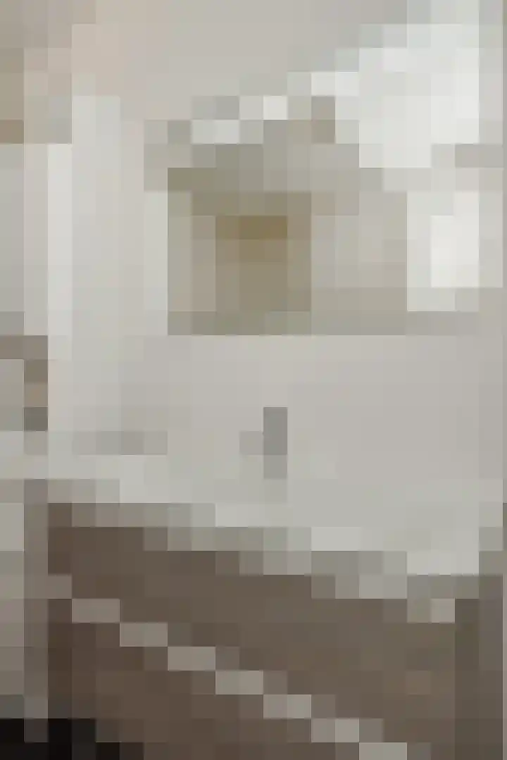 Klinkerhof 3 Deurne thumbnail 33
