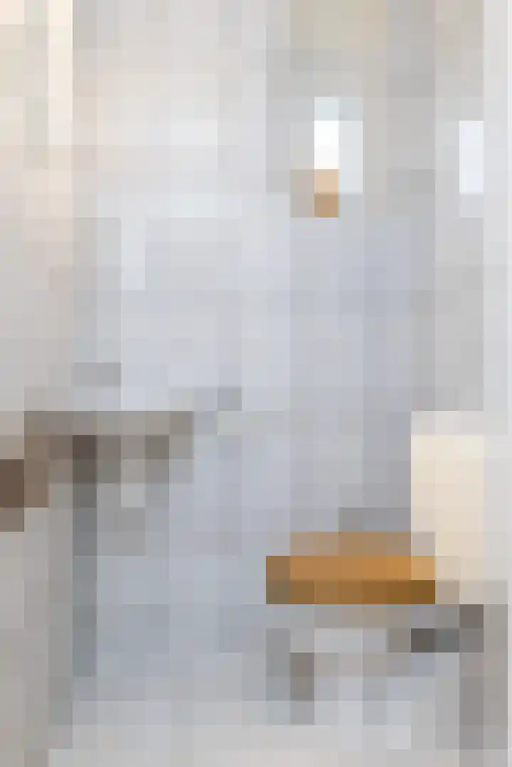 Klinkerhöfke 18 Hulsberg thumbnail 14