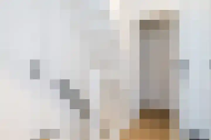 Klinkerhöfke 18 Hulsberg thumbnail 25