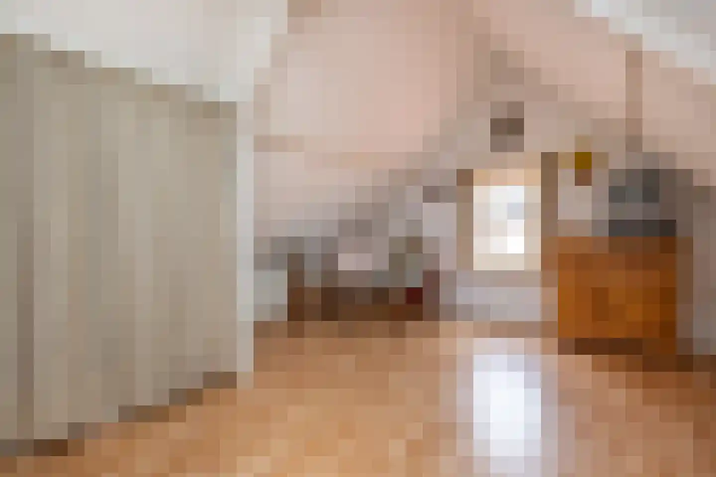 Klinkerlandseweg 17 Nieuwe-Tonge thumbnail 18