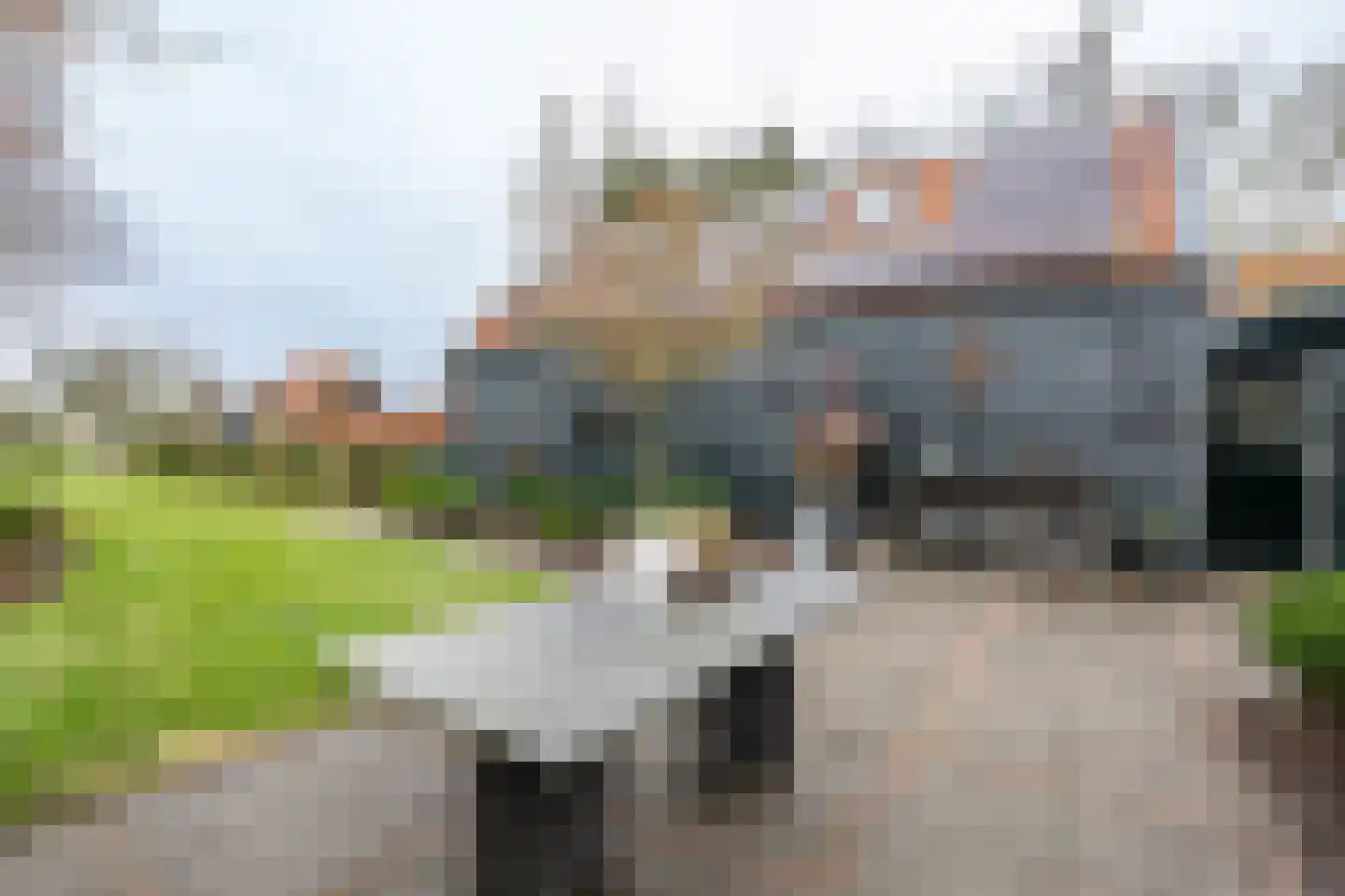 Klinkerlandseweg 17 Nieuwe-Tonge thumbnail 30