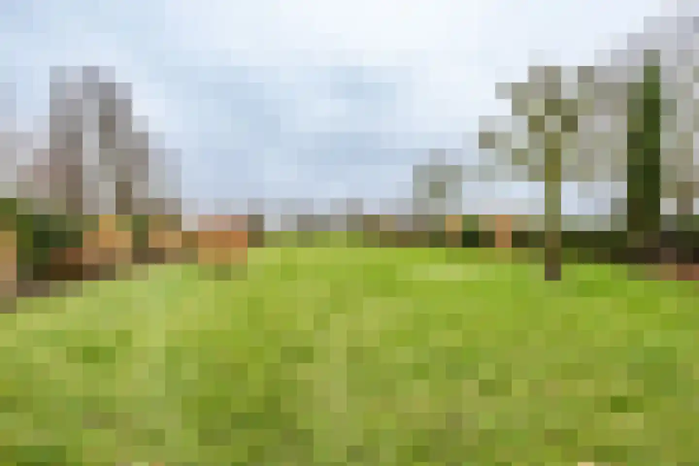 Klinkerlandseweg 17 Nieuwe-Tonge thumbnail 33