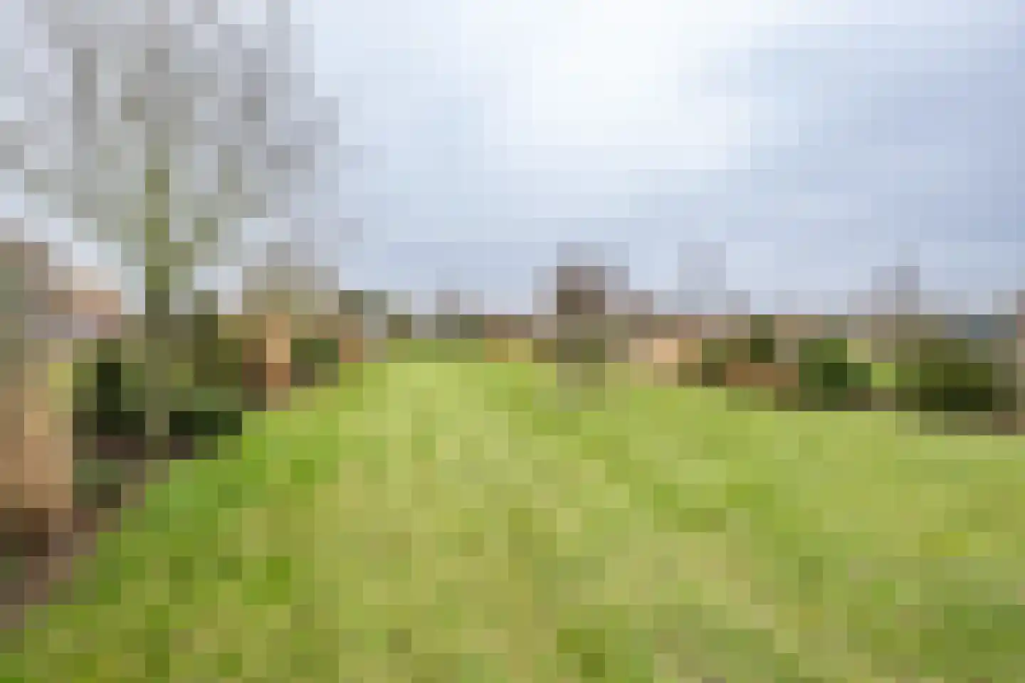 Klinkerlandseweg 17 Nieuwe-Tonge thumbnail 37
