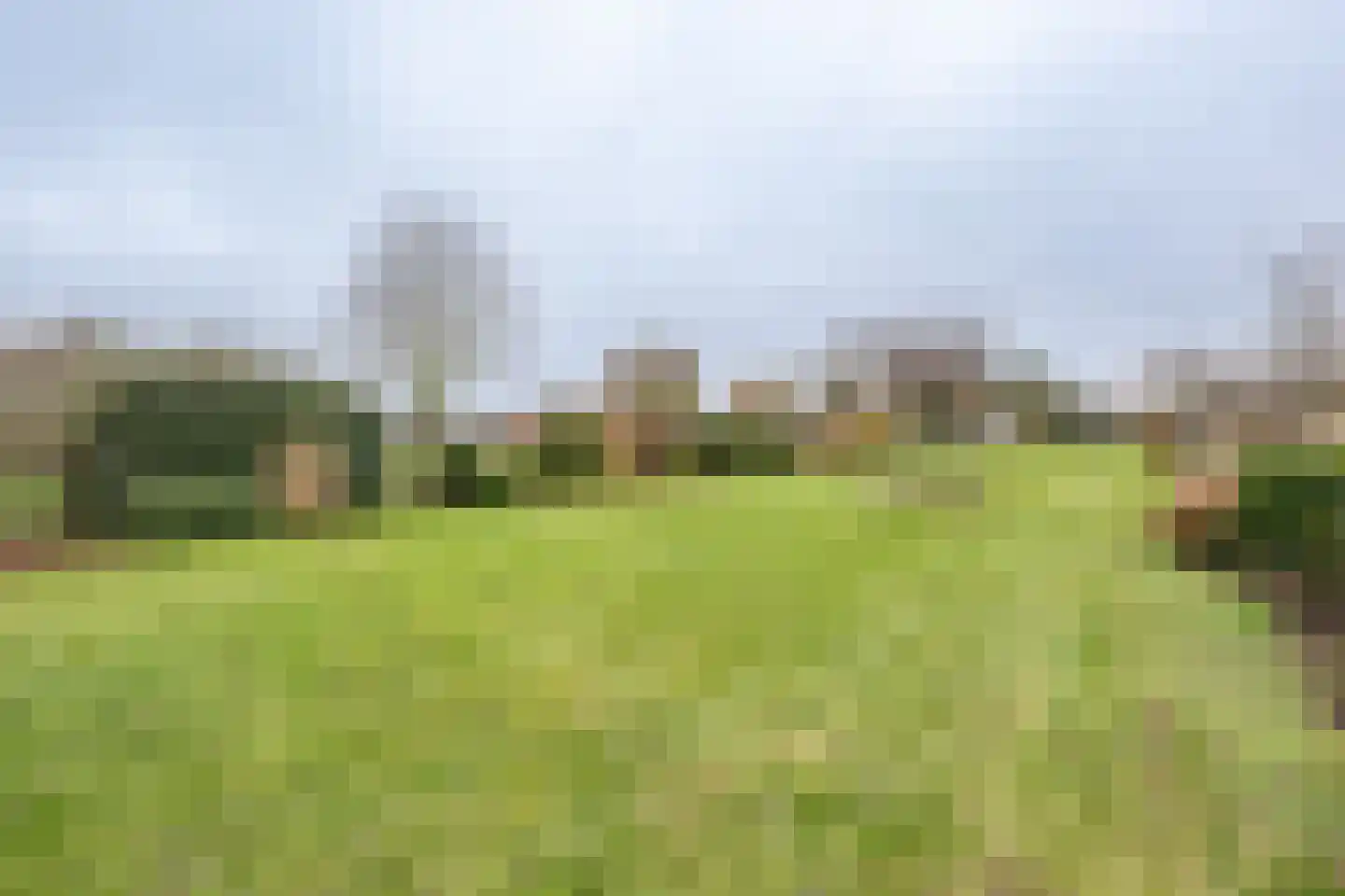 Klinkerlandseweg 17 Nieuwe-Tonge thumbnail 38