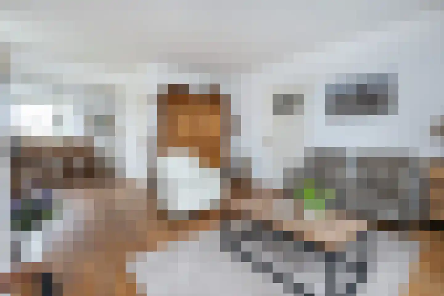 Klinkerlandseweg 17 Nieuwe-Tonge thumbnail 6