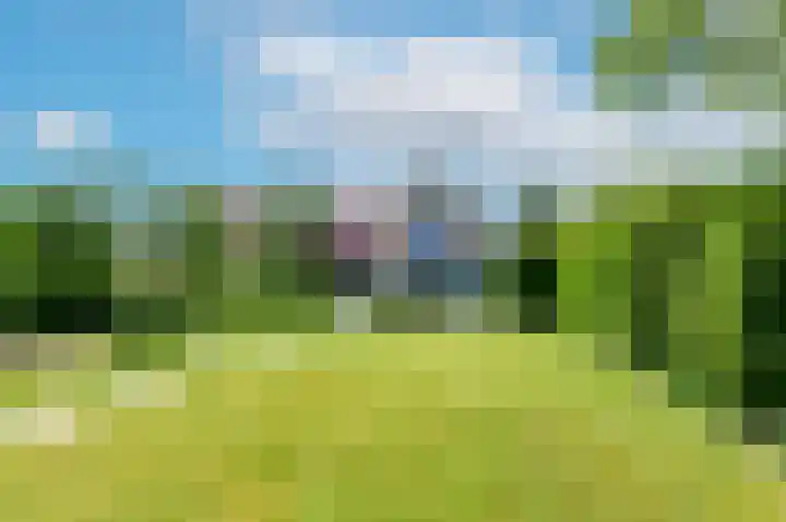 Klinkerlandseweg 28 Nieuwe-Tonge thumbnail 39