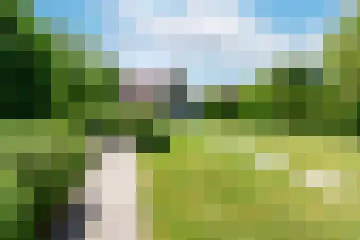 Klinkerlandseweg 28 Nieuwe-Tonge thumbnail 40