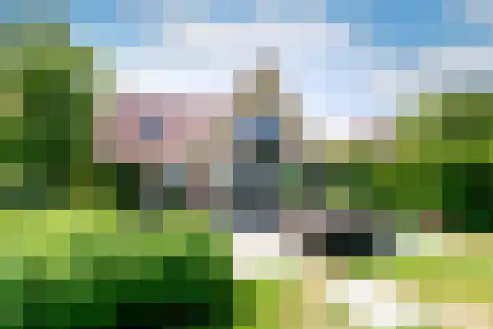Klinkerlandseweg 28 Nieuwe-Tonge thumbnail 42