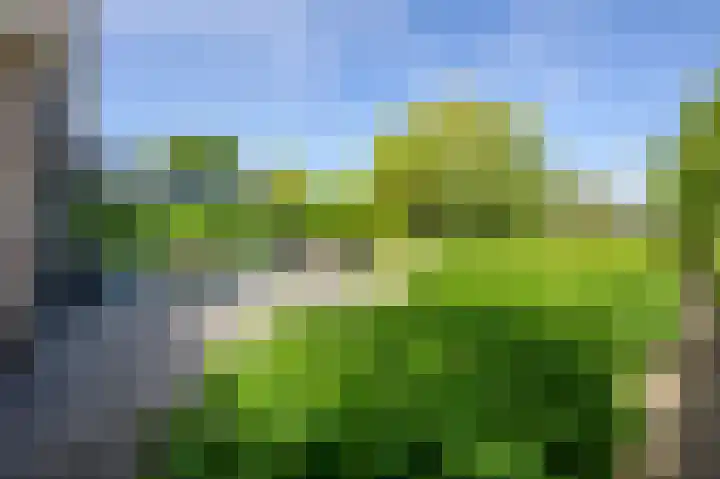 Klinkerlandseweg 28 Nieuwe-Tonge thumbnail 43