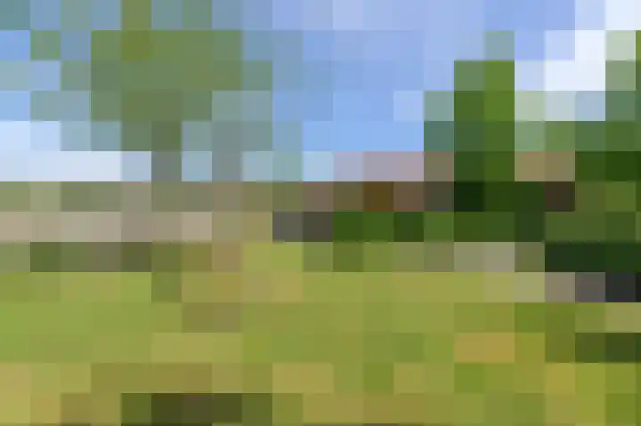 Klinkerlandseweg 28 Nieuwe-Tonge thumbnail 44