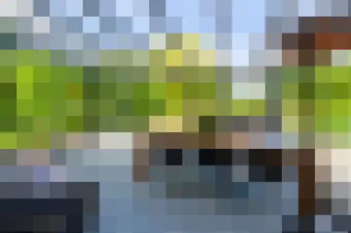 Klinkerlandseweg 28 Nieuwe-Tonge thumbnail 45
