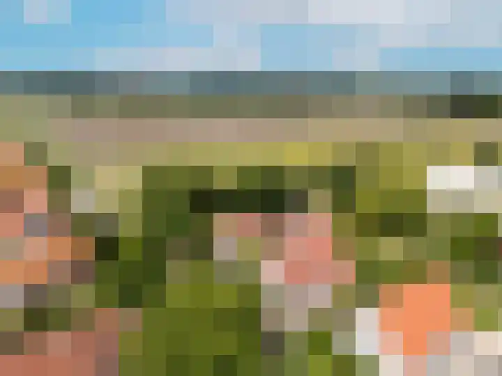 Klinkerlandseweg 28 Nieuwe-Tonge thumbnail 47
