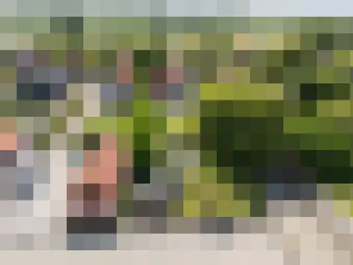 Klinkerlandseweg 28 Nieuwe-Tonge thumbnail 48