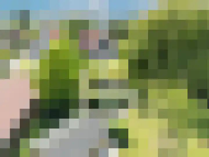 Klinkerlandseweg 28 Nieuwe-Tonge thumbnail 49